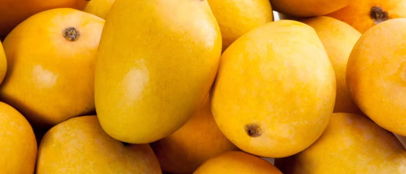 Alphonso Mangoes (Seasonal)