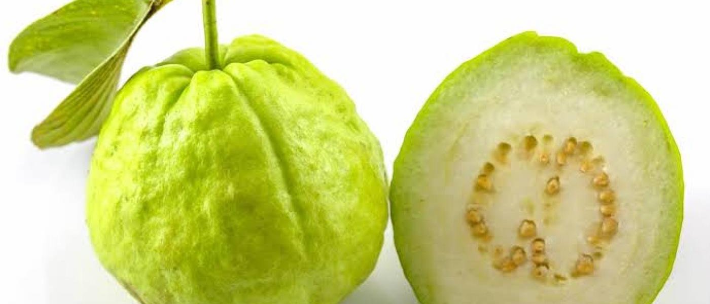 Alahabad white guava at the best price