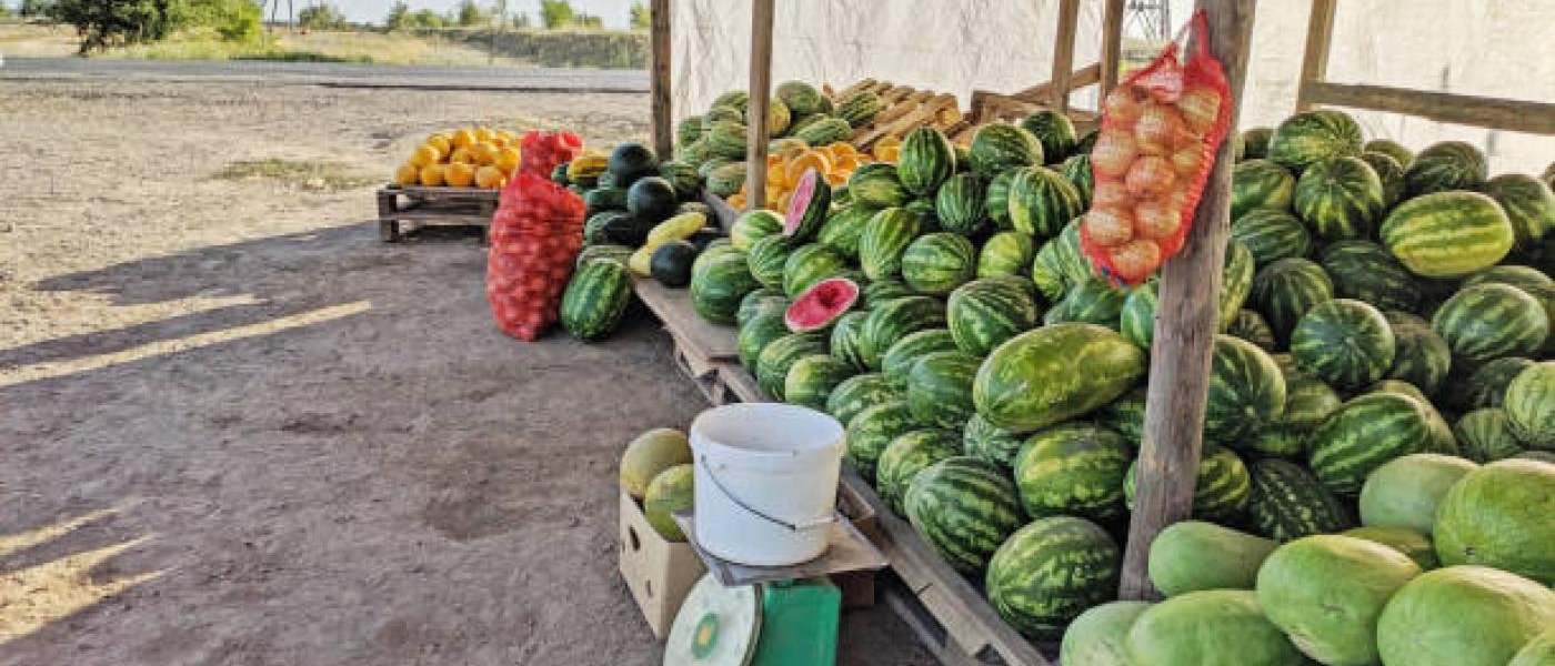 Water melons, mangoes, oranges and bananas