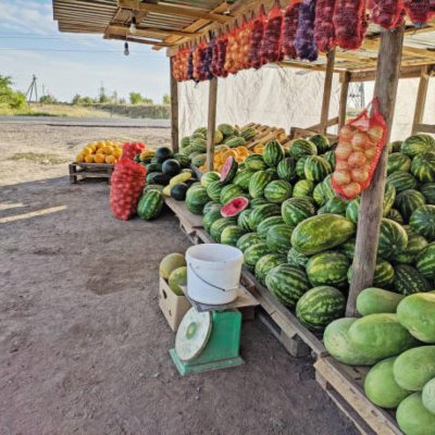 Water melons, mangoes, oranges and bananas