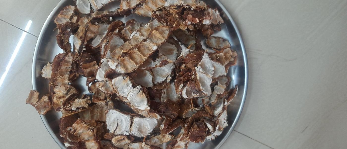 Tamarind
