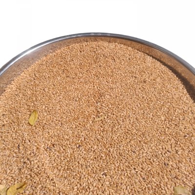 Organic Black Wheat & Organic brown Wheat