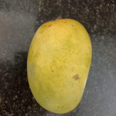 Gujarat Kesar Mangoes