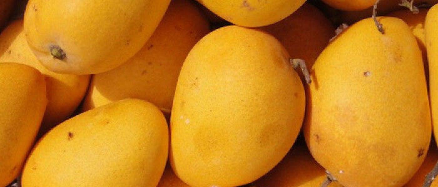 Banganapalle mangoes
