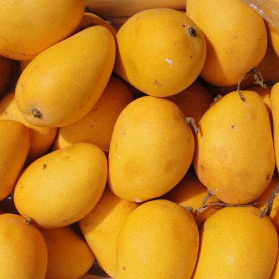 Banganapalle mangoes
