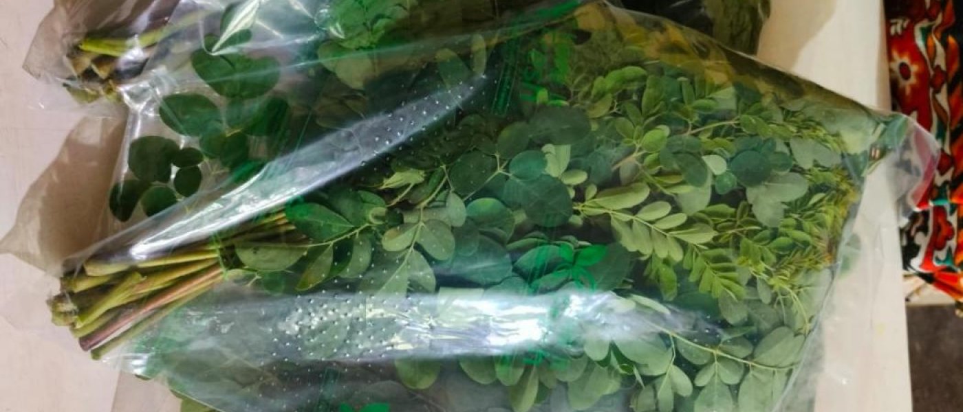 Moringa leaves