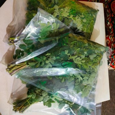 Moringa leaves