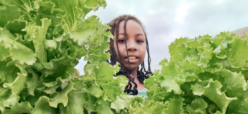 Port Harcourt Vegetable Farmer