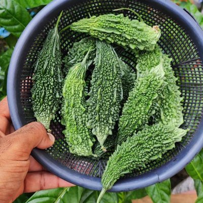 Bitter Gourd, Kinnow , Guava