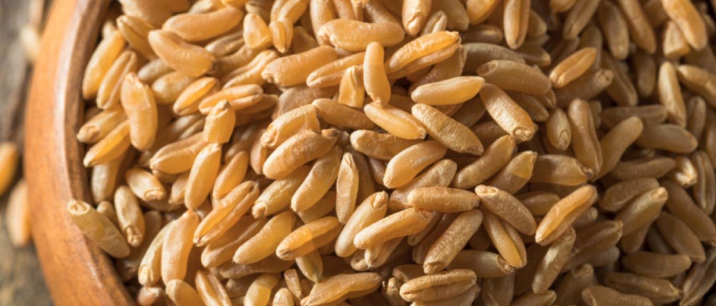 Ancient wheat