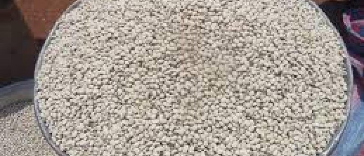 FRESH MAIZE AND BEANS