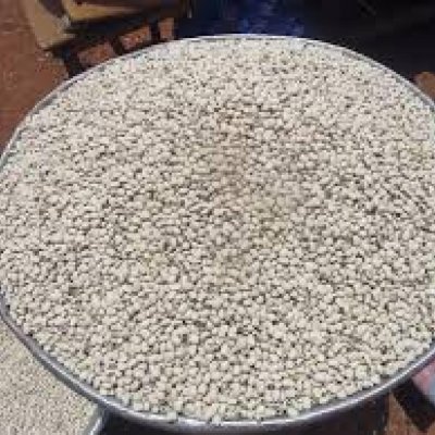 FRESH MAIZE AND BEANS