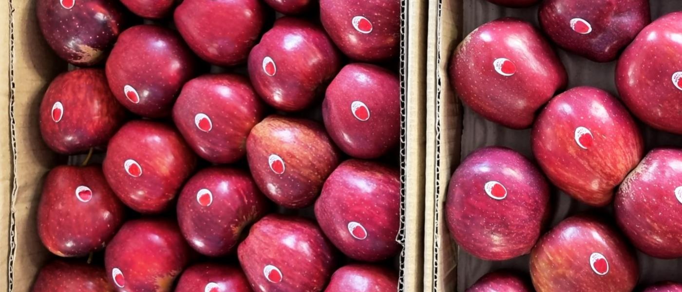 Royal Delicious Apples