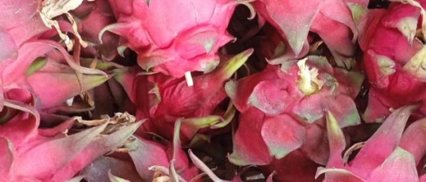 Dragon fruits, Star fruits, Guavas, Pomegranate