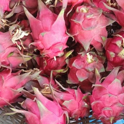 Dragon fruits, Star fruits, Guavas, Pomegranate
