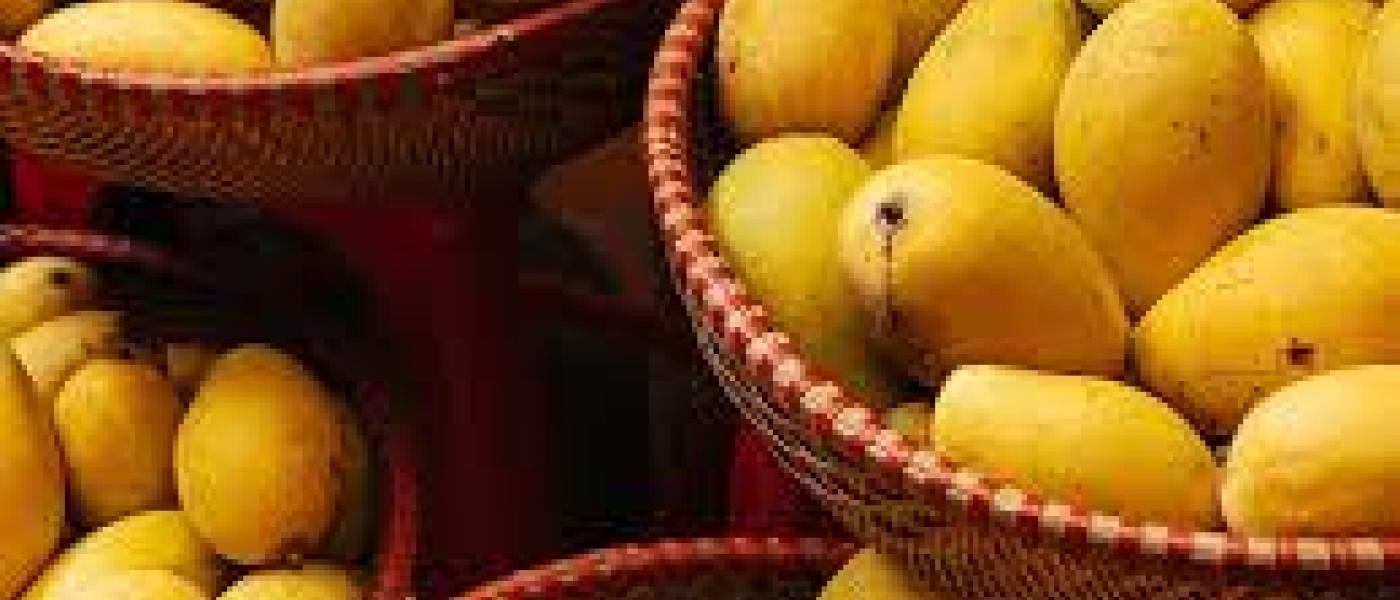 Mangoes