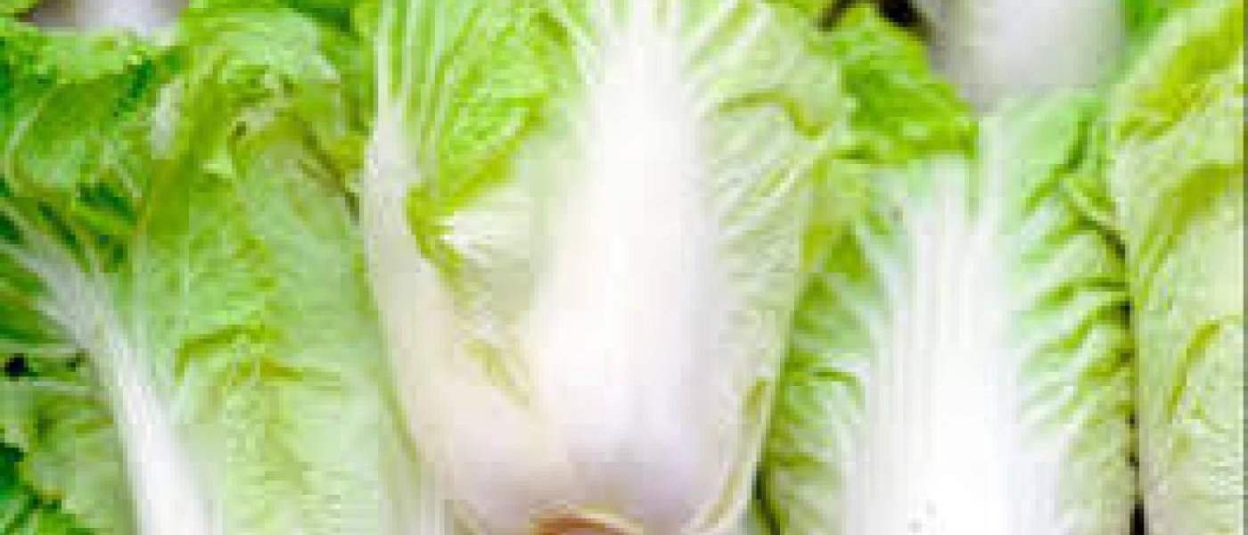Greeny and freshy juicy vegetables. Available English Hindi and china vegetables.