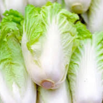 Greeny and freshy juicy vegetables. Available English Hindi and china vegetables.