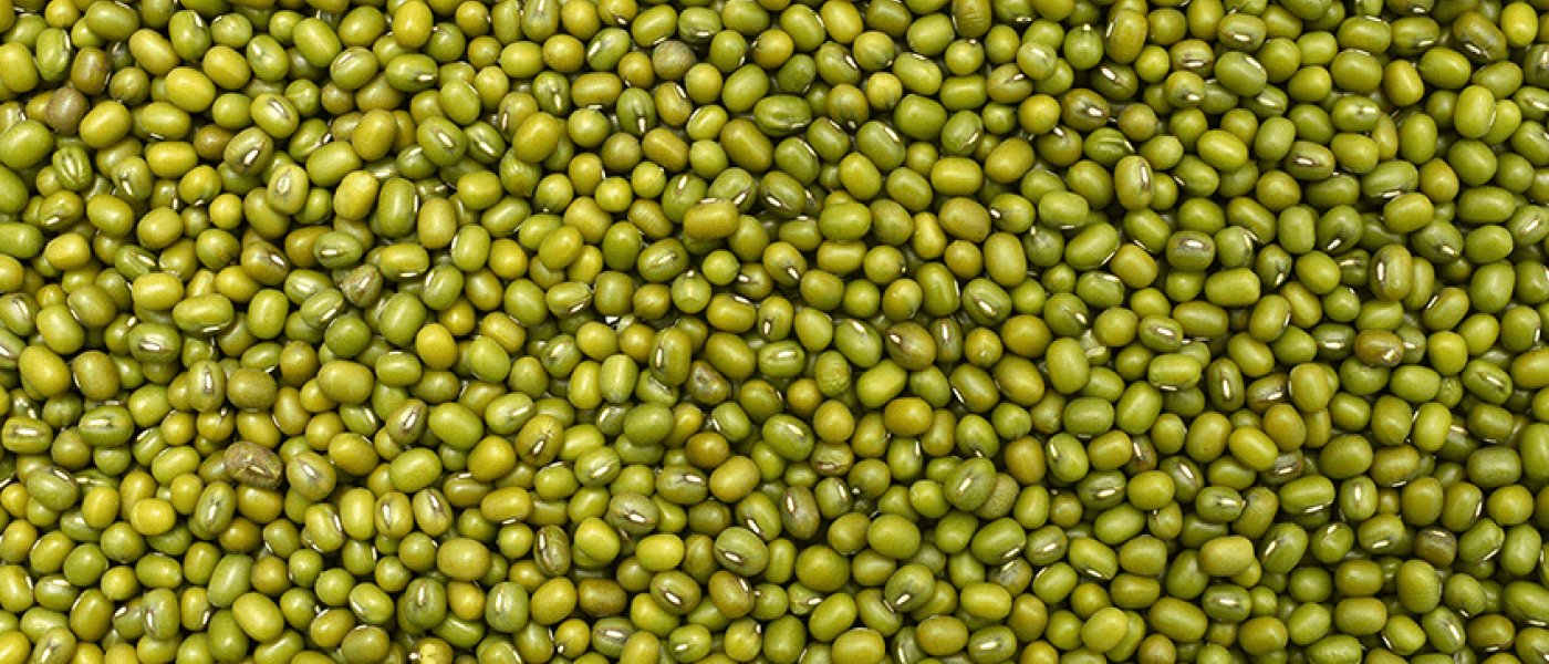 Green Gram
