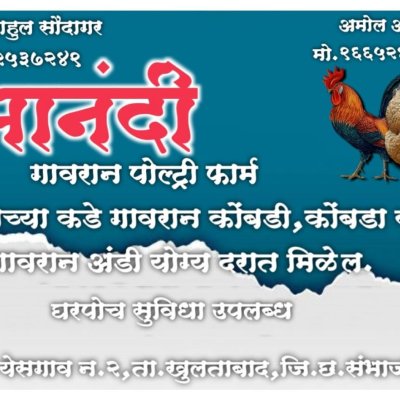 Gavran Grove: Where Poetry Blossoms in the Fields