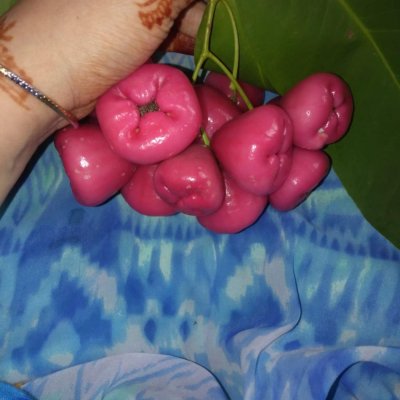 First you offer than it will be negotiable