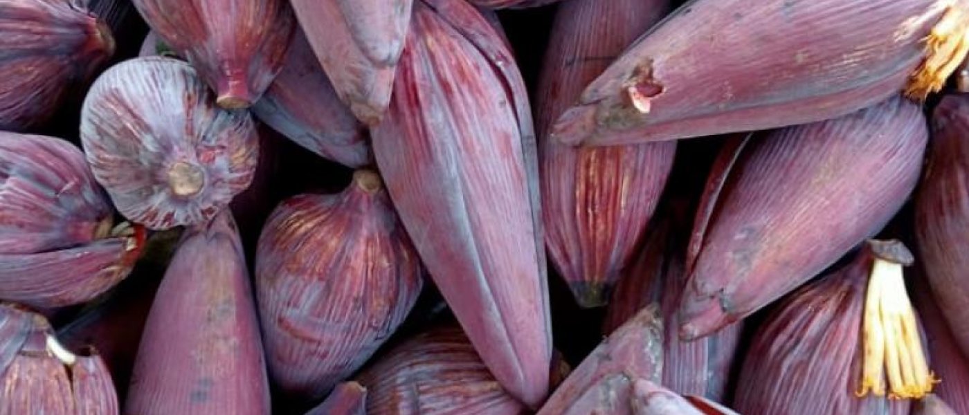 Banana Flower