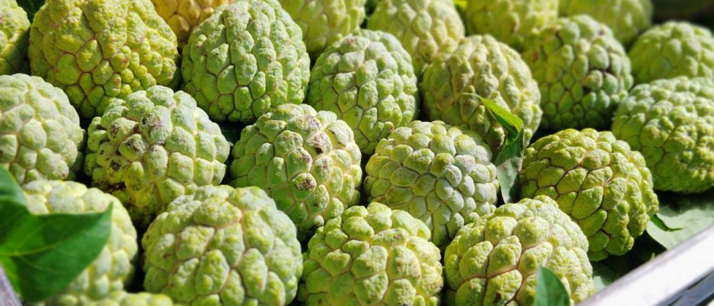 Custard Apple
