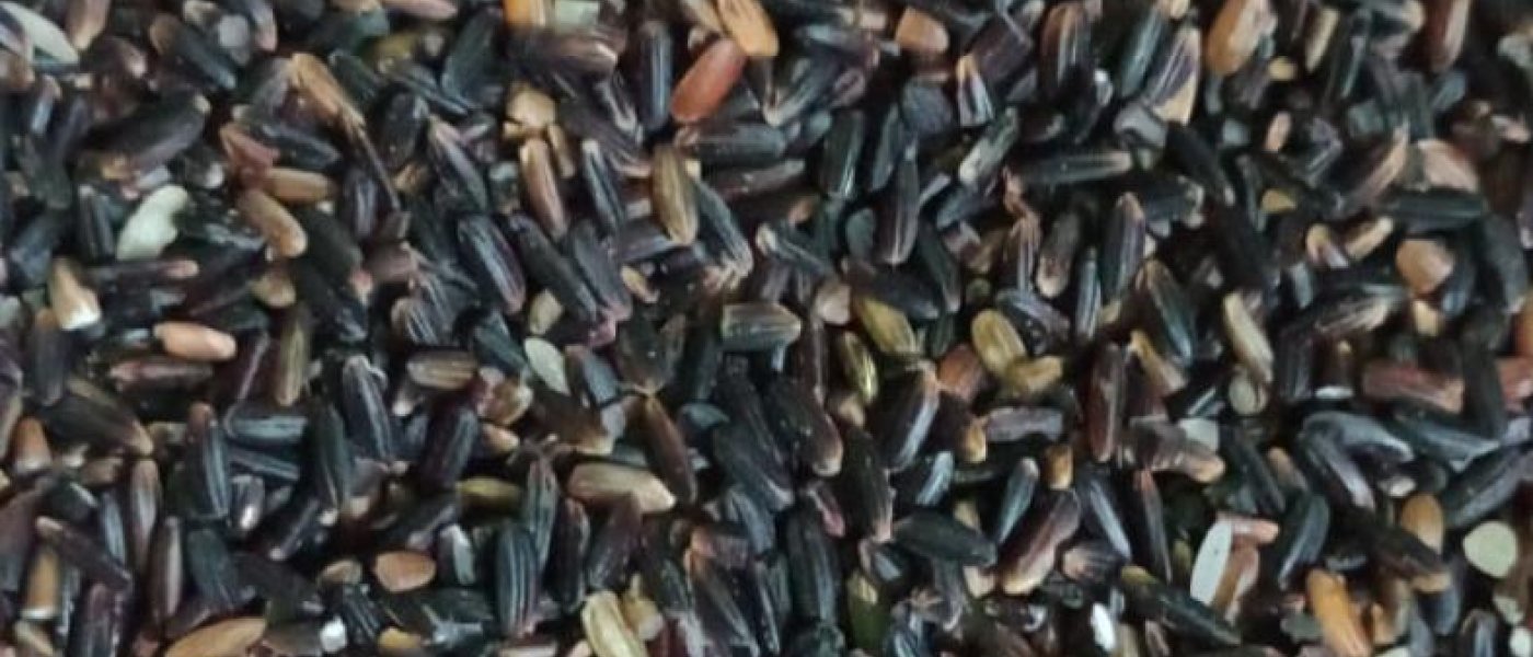 Black rice