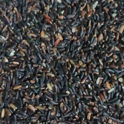 Black rice