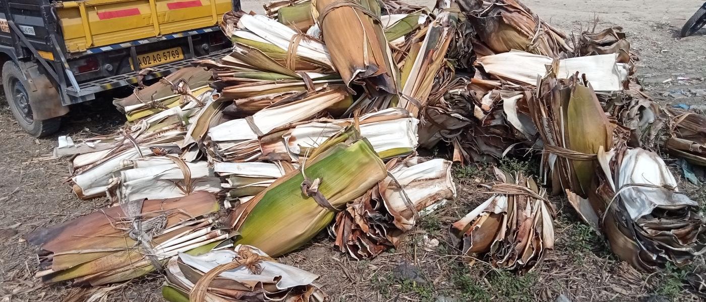 Areca Leaves (seasonal)