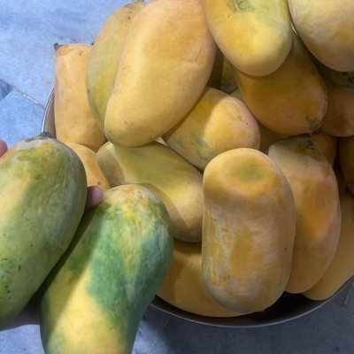 Mangoes