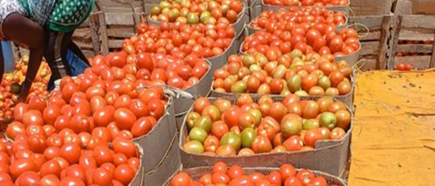 Tomatoes (Seasonal)