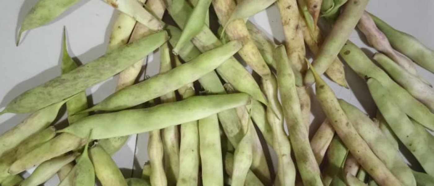 Ghewada ( kidney beans)