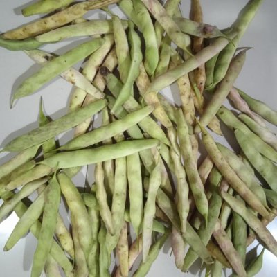 Ghewada ( kidney beans)