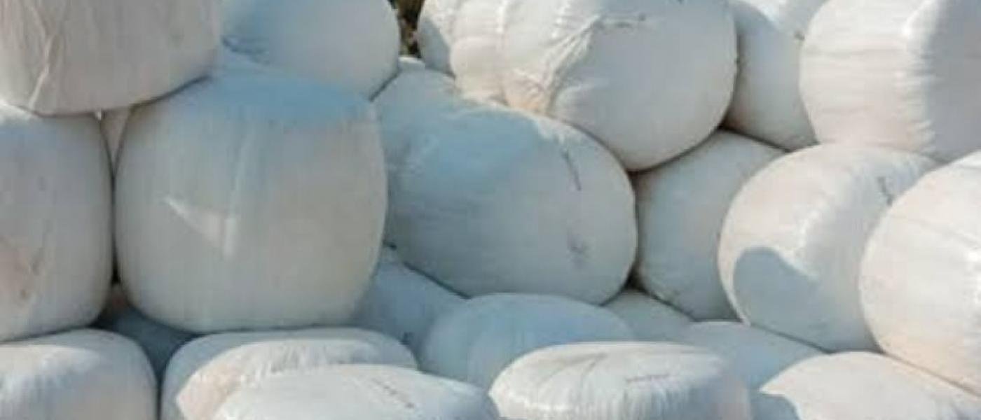 Silage