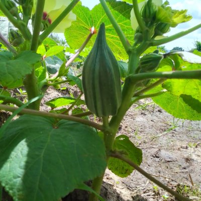 We offer all products listed