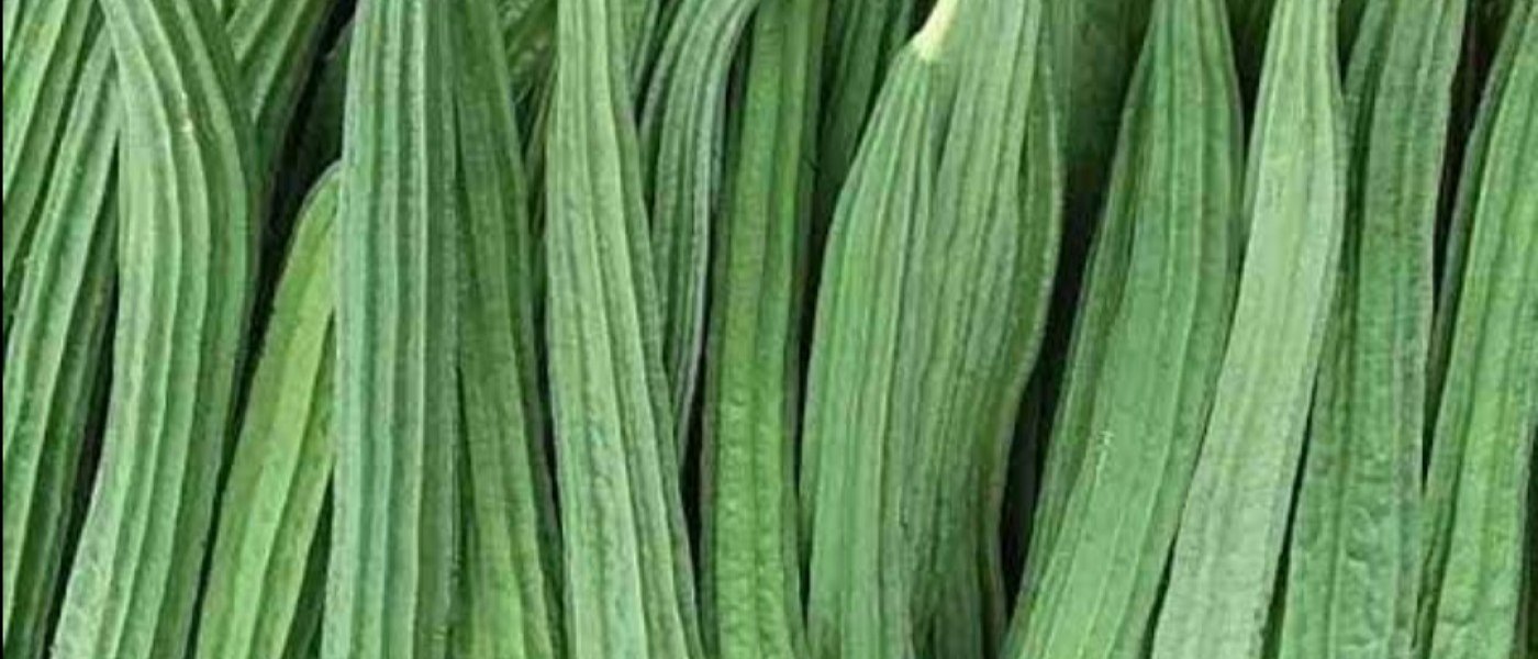 Ridged Gourd