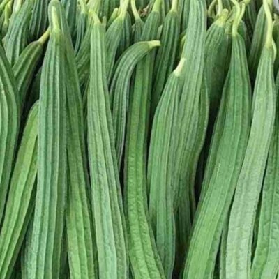 Ridged Gourd