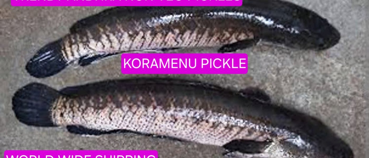 Dried vegetables,non veg pickles