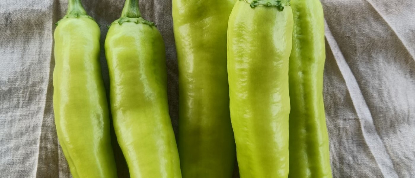 Bajji Chilli