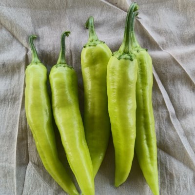 Bajji Chilli