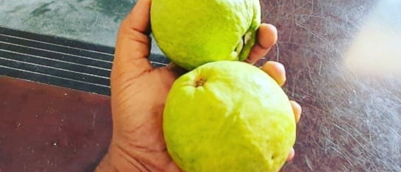 Lemons , gauva , water apple and jamoon