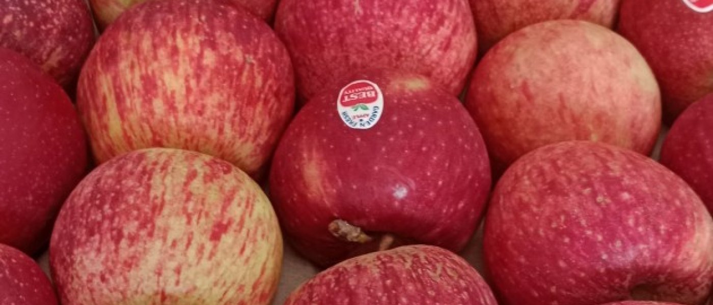 Apples 5 kg order per 500 free