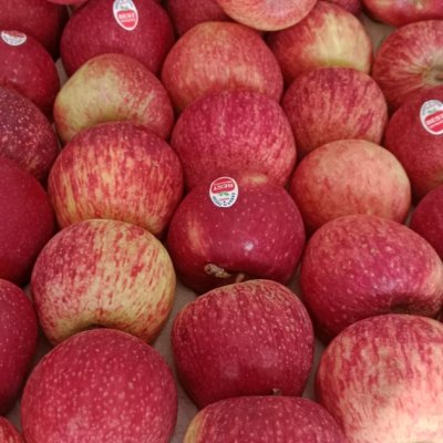 Apples 5 kg order per 500 free