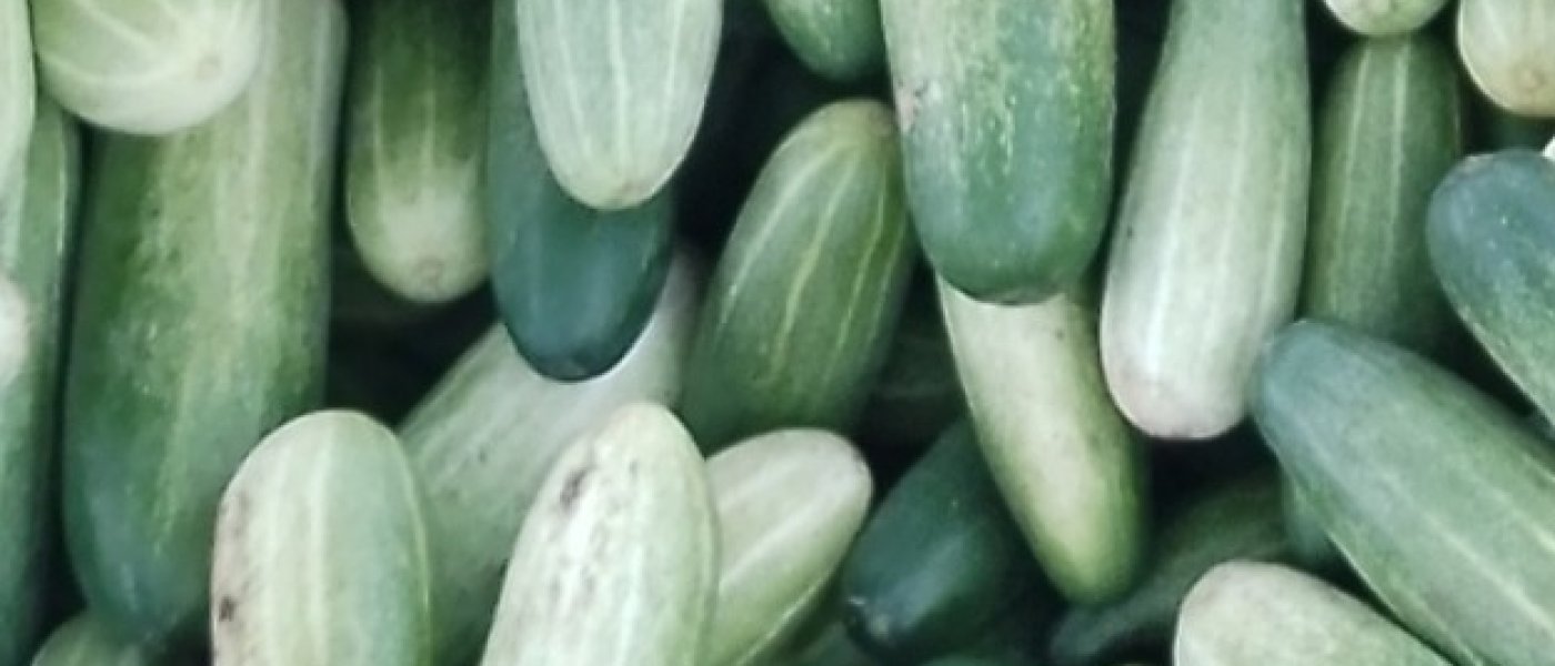 Cucumbers
