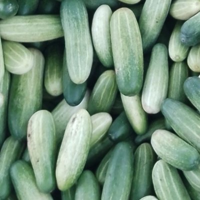 Cucumbers