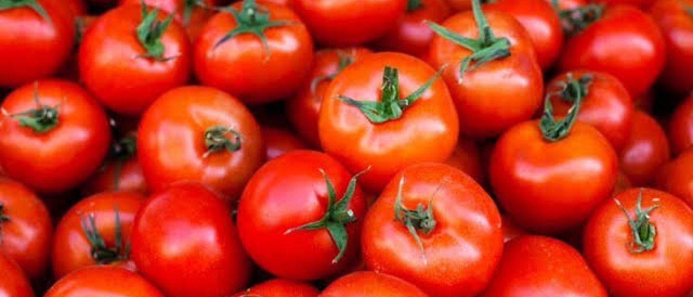 Tomato