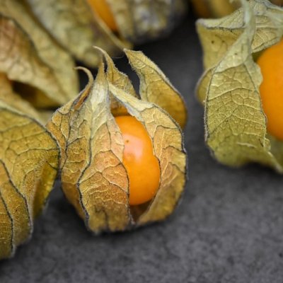 Cape Gooseberries