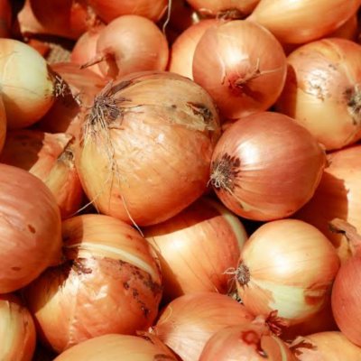 Onions