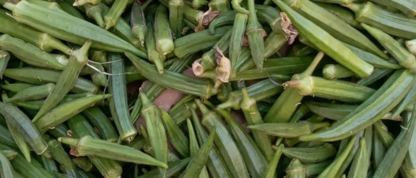 Okra